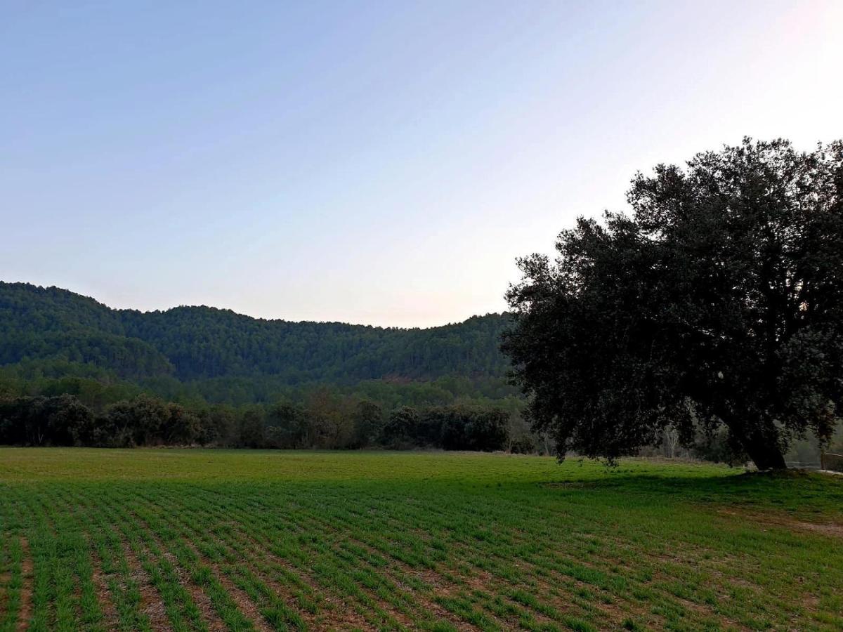 La Baronia de Rialb Masia L'Ara المظهر الخارجي الصورة