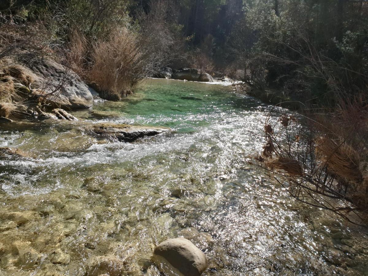 La Baronia de Rialb Masia L'Ara المظهر الخارجي الصورة