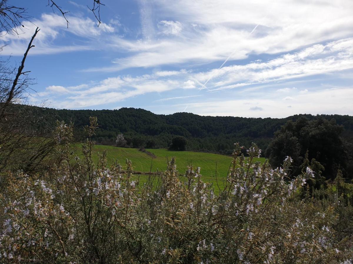 La Baronia de Rialb Masia L'Ara المظهر الخارجي الصورة