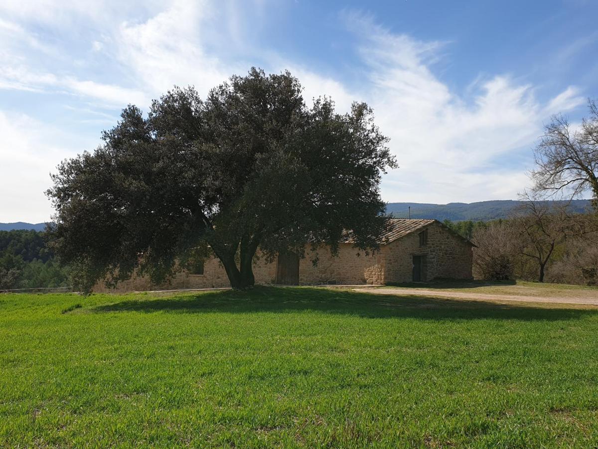 La Baronia de Rialb Masia L'Ara المظهر الخارجي الصورة